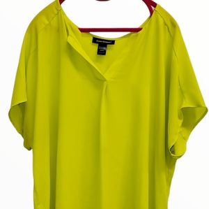 Ashley Stewart Tunic Blouse